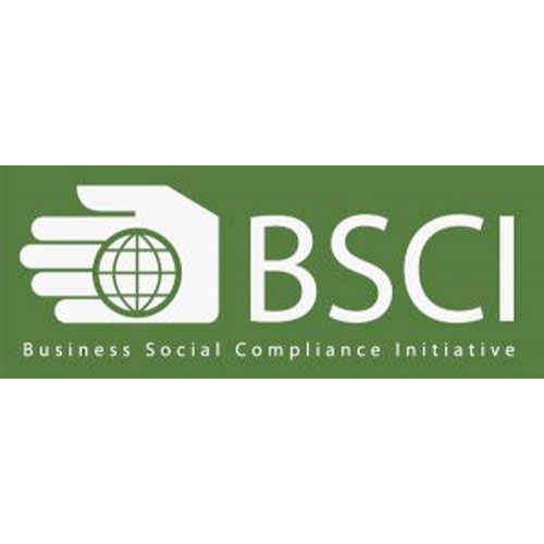 BCSI – Business Social Compliance Initiative logo